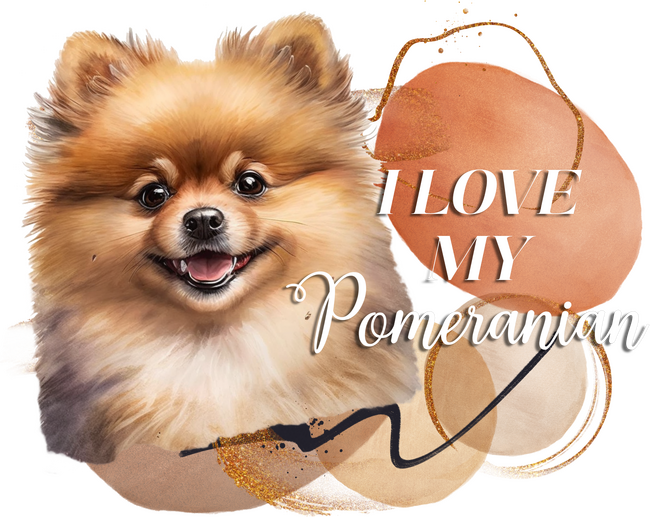 Imádom a pomeránaii spiccemet